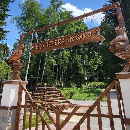 Pinewood Ang Luxurious Apartment A43, Borovets Gardens Eksteriør billede