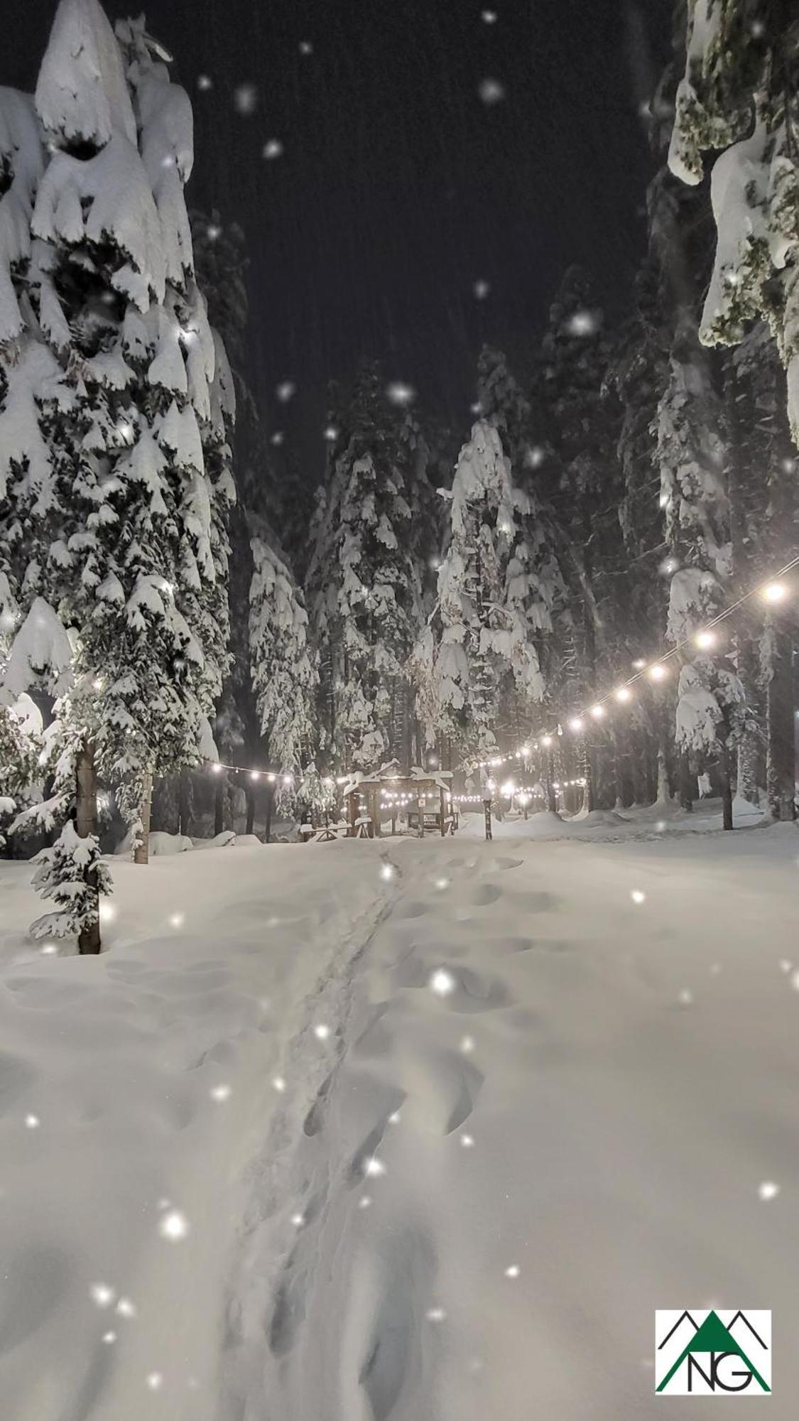 Pinewood Ang Luxurious Apartment A43, Borovets Gardens Eksteriør billede